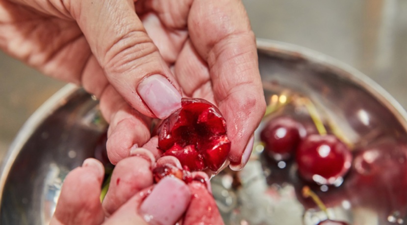Close-up of a hand gently touching red tart cherries, illustrating the "30 second cheery trick" discussed in the Yu Sleep review about natural deep sleep support.